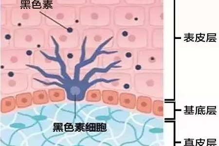 祛斑偏方“害死人”，小仙女們可長(zhǎng)點(diǎn)心吧！