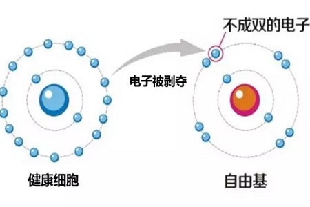 法國(guó)絲麗-抗衰神器