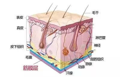 沒有誰能永遠年輕，不老都是保養(yǎng)的早！