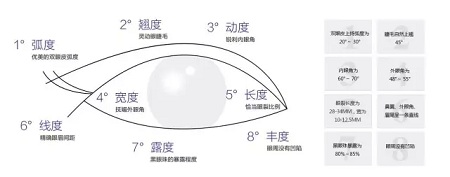 美眼張誠坐診美萊，淺談為什么你的眼睛不夠美？