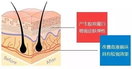 關(guān)于*雕，你想了解的都在這里！